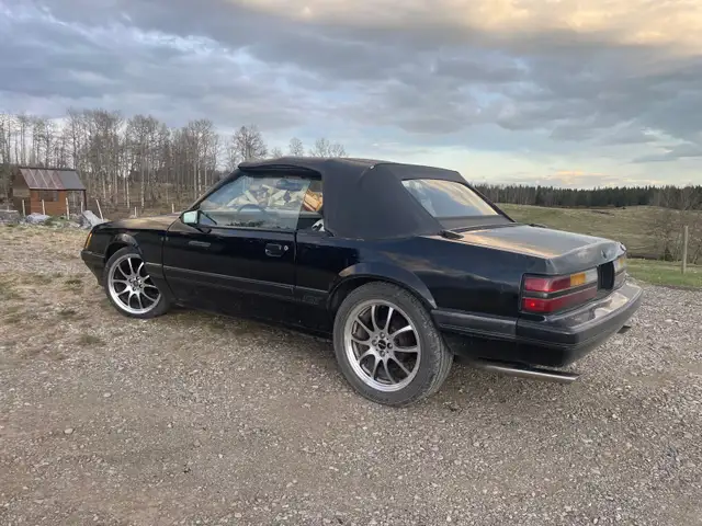 1986 mustang gt