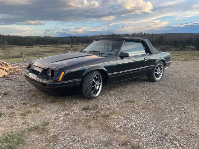 1986 mustang gt - Photo 2