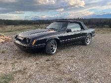 1986 mustang gt - Photo 2