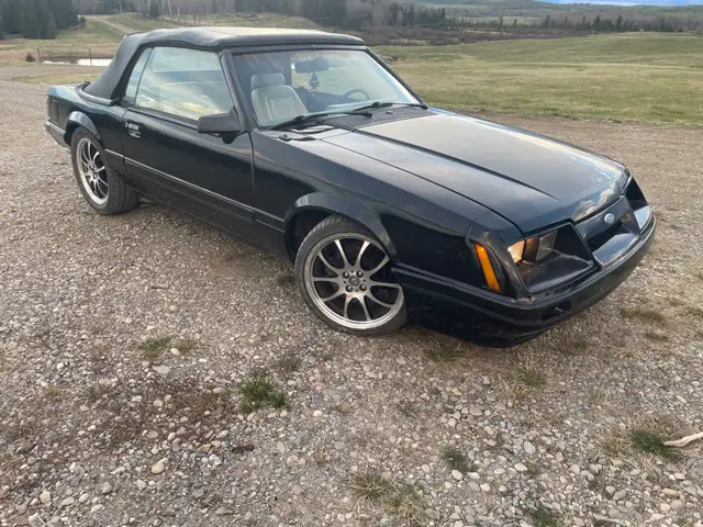 1986 mustang gt - Photo 4