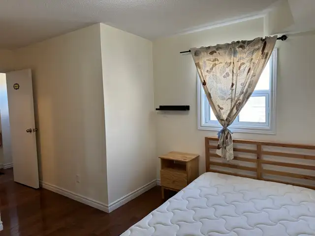 rooms for rent at York University village - Photo 5