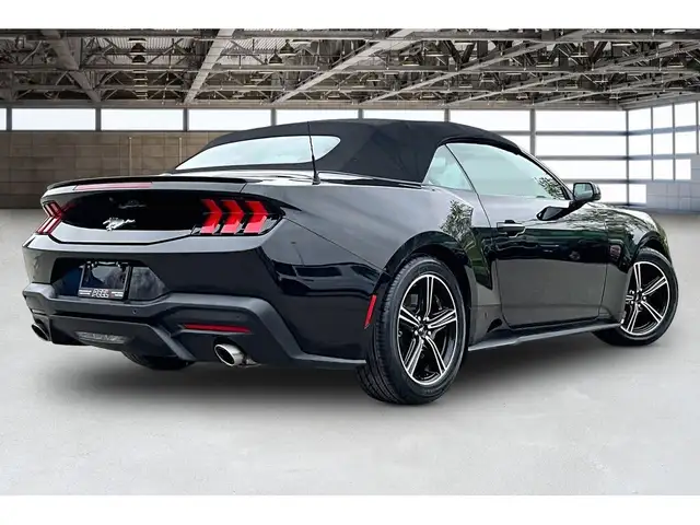2025 Ford Mustang EcoBoost Premium Convertible RWD - Photo 2