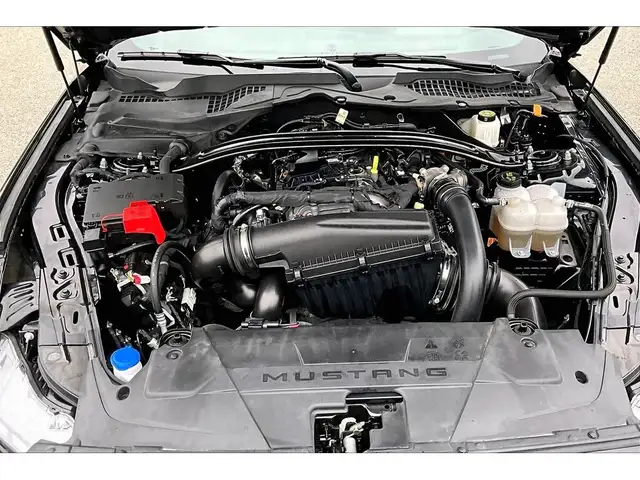 2025 Ford Mustang EcoBoost Premium Convertible RWD - Photo 9