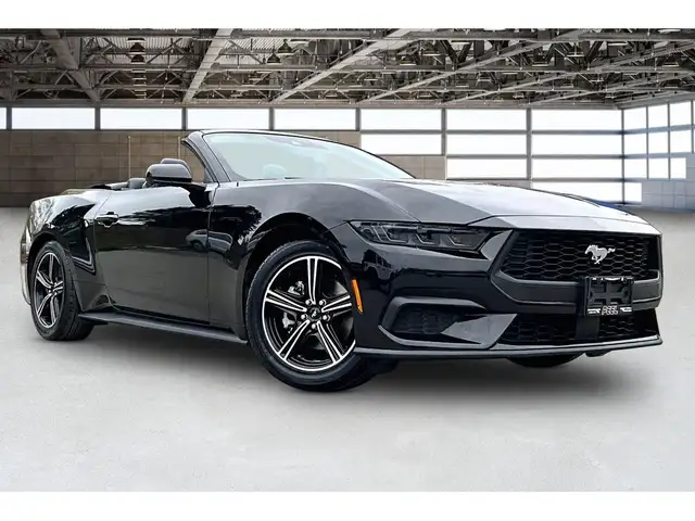 2025 Ford Mustang EcoBoost Premium Convertible RWD - Photo 11