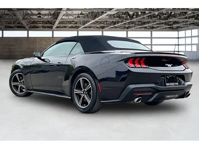 2025 Ford Mustang EcoBoost Premium Convertible RWD - Photo 12