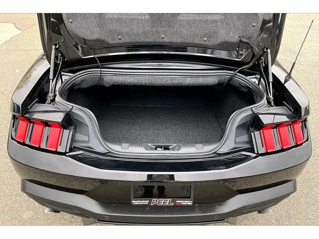 2025 Ford Mustang EcoBoost Premium Convertible RWD - Photo 16