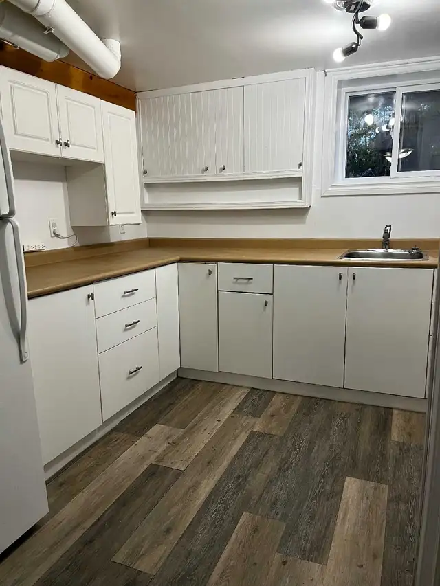 Bright 1-BR Bsmt Apt – All Utilities & Parking Incl. - Photo 3