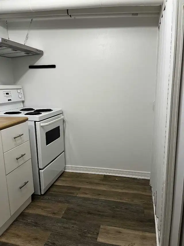 Bright 1-BR Bsmt Apt – All Utilities & Parking Incl. - Photo 4