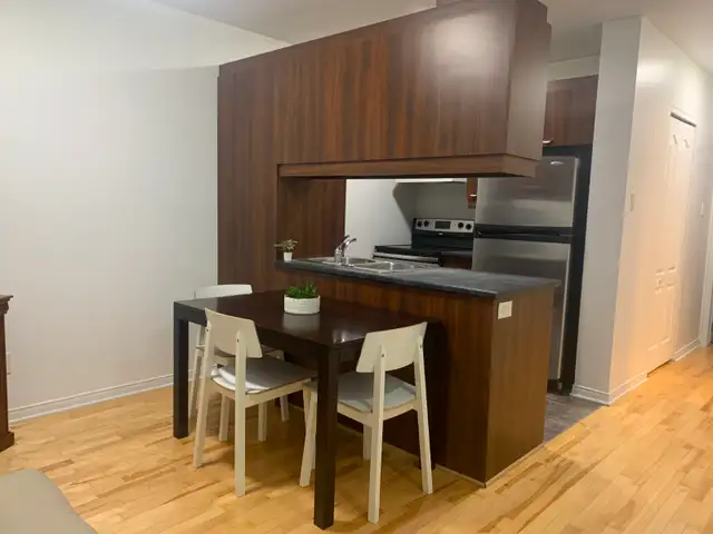 Chambre tous inclus metro Saint Henri terrasse privée - Photo 3