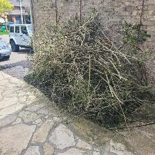 Yard Waste & Junk Removal | Champion Junk Remo