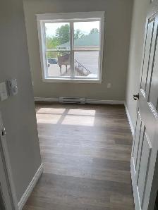 2 BEDROOM APARTMENT FOR RENT ON BRIDGE STREET, GREENWOOD - Photo 5