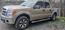 2014 f150 xlt 5.0