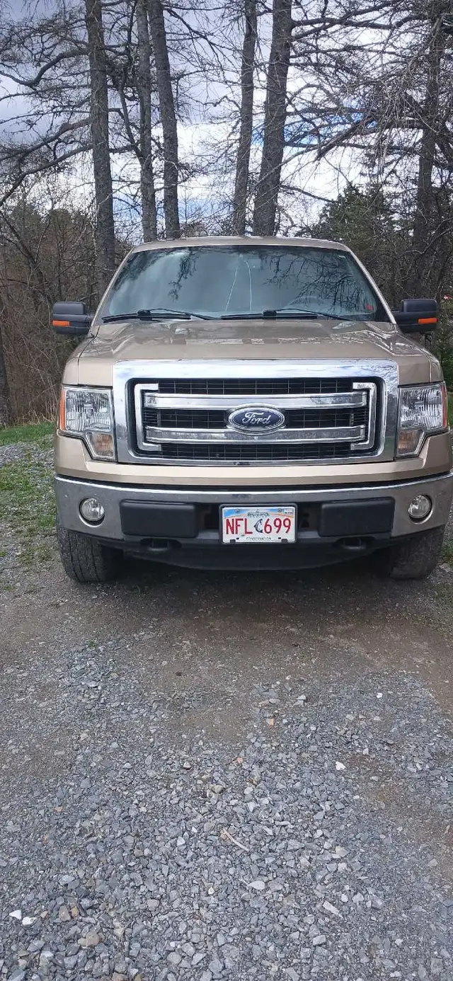 2014 f150 xlt 5.0 - Photo 3