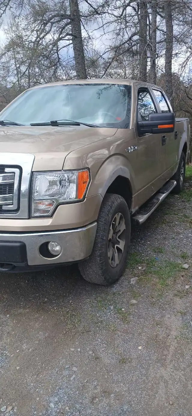2014 f150 xlt 5.0 - Photo 4