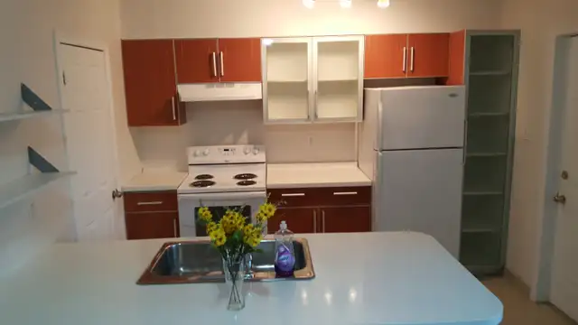 Ontario and Lincoln - 2 bedroom apartment contact 519-566-8228 - Photo 8