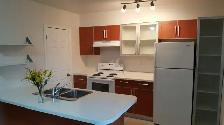 Ontario and Lincoln - 2 bedroom apartment contact 519-566-8228 - Photo 13