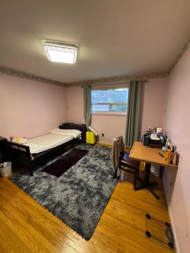 Room for Rent