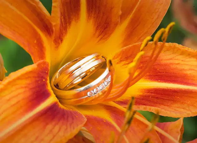 Romantic Wedding Photography  |  Toronto & GTA - Photo 4