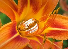 Romantic Wedding Photography  |  Toronto & GTA - Photo 4
