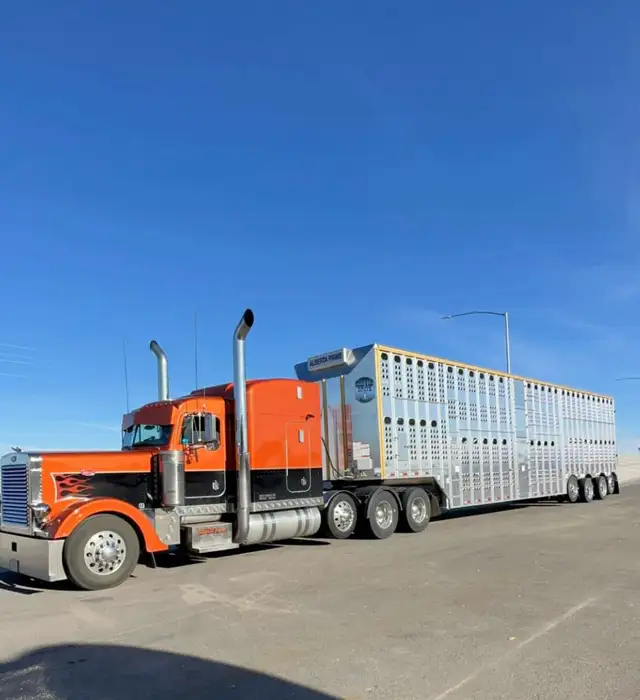 Class 1 Livestock Driver - Photo 2