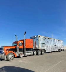 Class 1 Livestock Driver - Photo 2