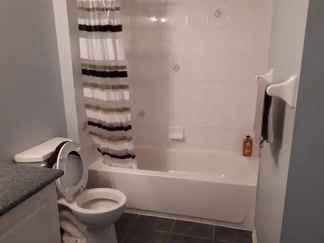 ROOMS FOR RENT- NORTH OSHAWA, WALKING DISTANCE TO DUR.COLL.&UOIT - Photo 3