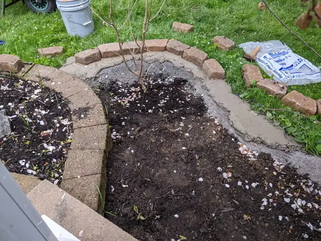 YARDWORK 4 CASH - Photo 6