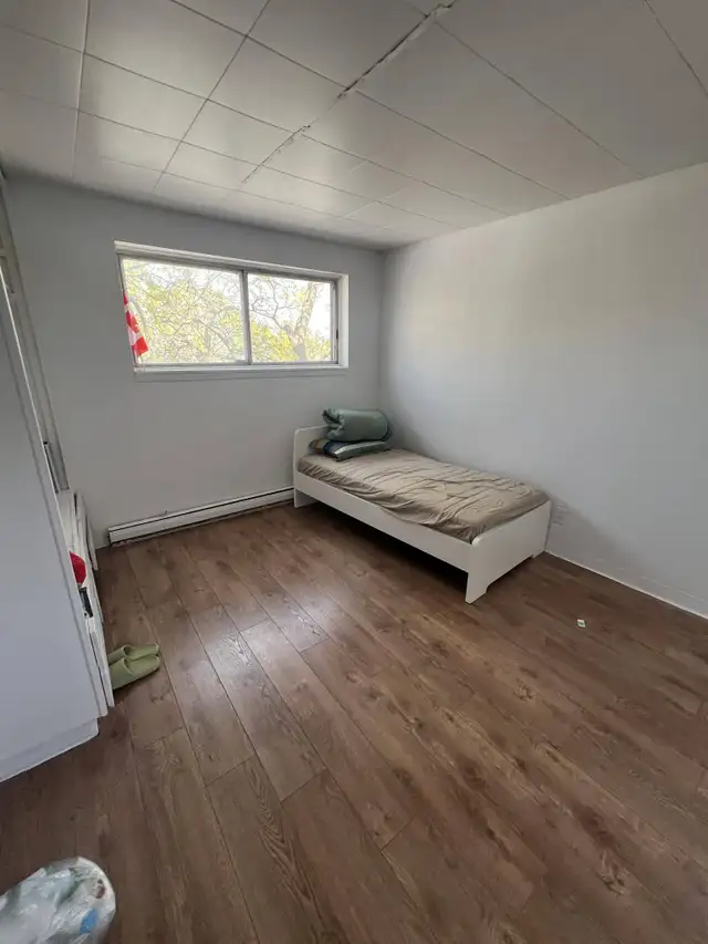 3 rue Pharand - 3-13 Apartment for Rent - Photo 4