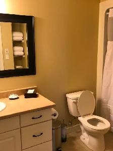 Spacious and quiet 2bedroom unit with washer & dryer for June 1 - Photo 5