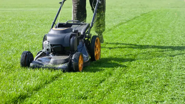 Landscaper/Lawn care needed
