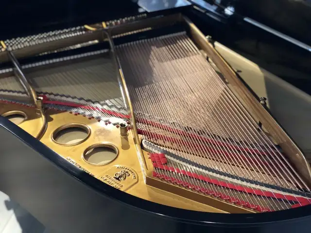 Steinway model O grand piano - Such a beautiful sound! - Photo 3