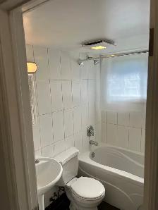 Ahunstic/Nouveau Bordeaux Bachelor bas de triplex - Photo 2