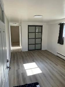 Ahunstic/Nouveau Bordeaux Bachelor bas de triplex - Photo 3