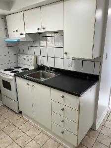 Ahunstic/Nouveau Bordeaux Bachelor bas de triplex - Photo 4