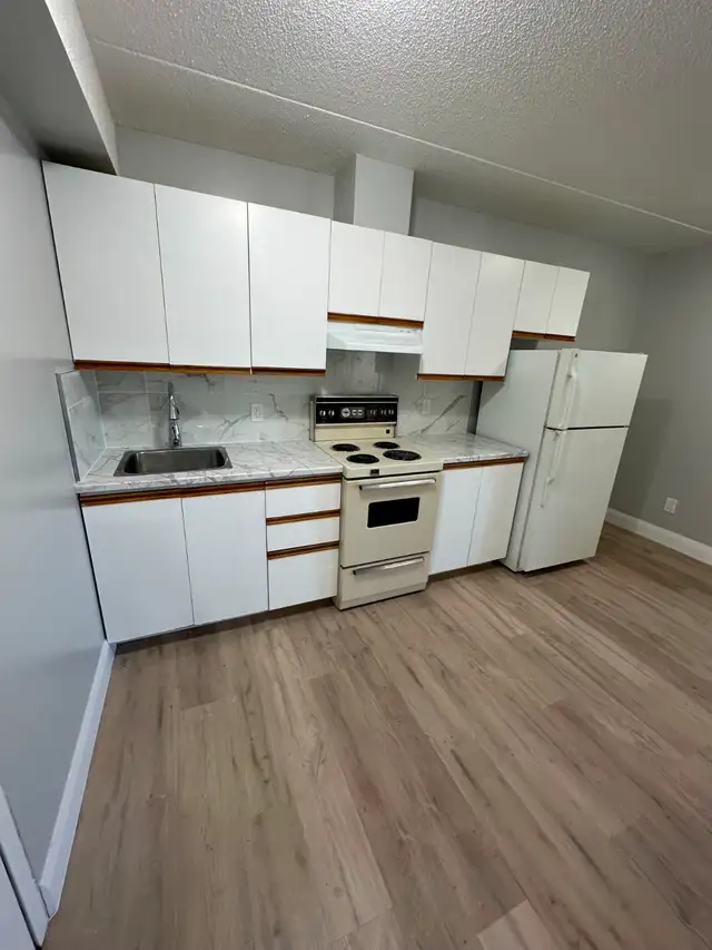 One Bedroom Available Now or June in Minnow Lake