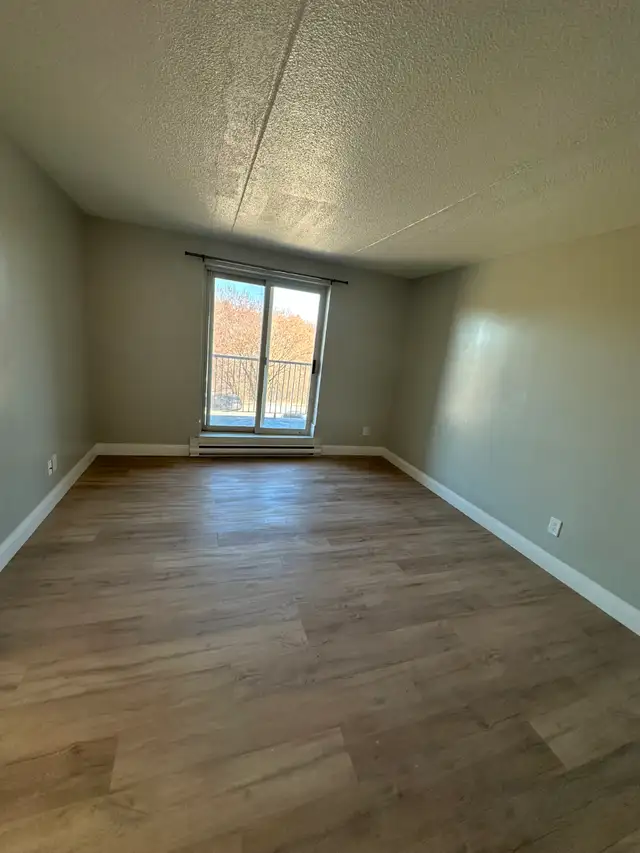 One Bedroom Available Now or June in Minnow Lake - Photo 3