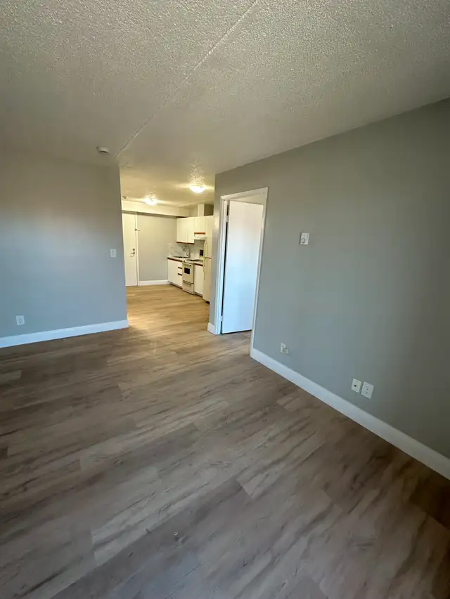 One Bedroom Available Now or June in Minnow Lake - Photo 4