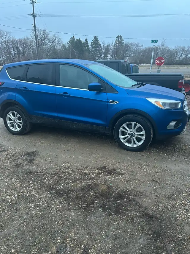 2019 Ford Escape SE
