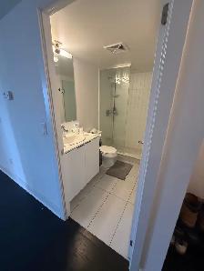 955 bay st 1 room for rent Weekend