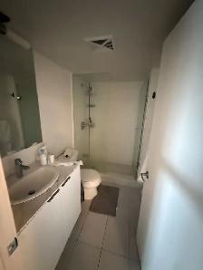955 bay st 1 room for rent Weekend - Photo 2