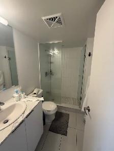 955 bay st 1 room for rent Weekend - Photo 3
