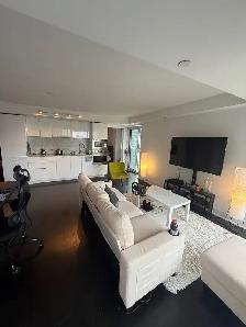 955 bay st 1 room for rent Weekend - Photo 6
