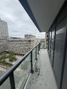 955 bay st 1 room for rent Weekend - Photo 8
