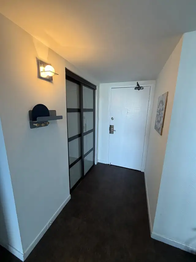 Spacious apartment for rent - great views of Detroit skyline! - Photo 3