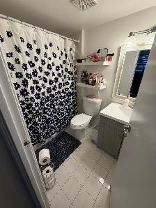 Spacious apartment for rent - great views of Detroit skyline! - Photo 8