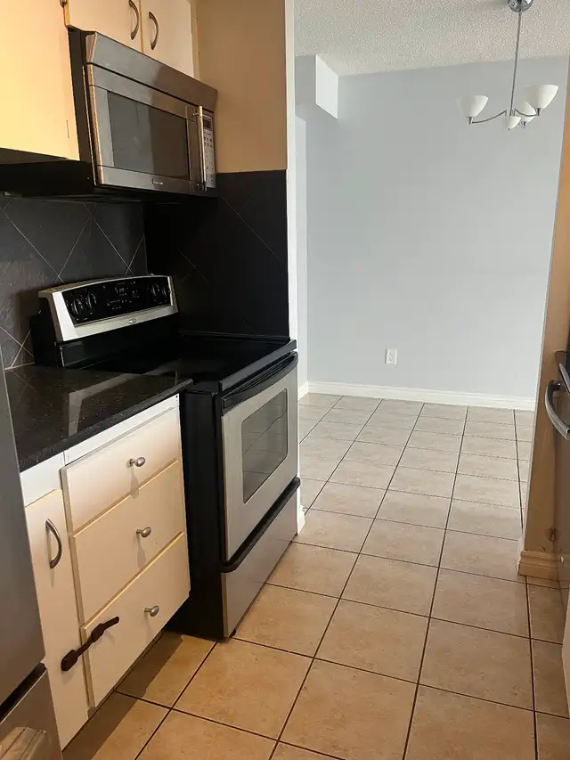 Downtown Edmonton Condo — For Rent $1,400/month - Photo 6