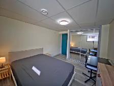 Modern Bedroom for Rent in Newly Developed Basement