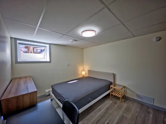 Modern Bedroom for Rent in Newly Developed Basement - Photo 3
