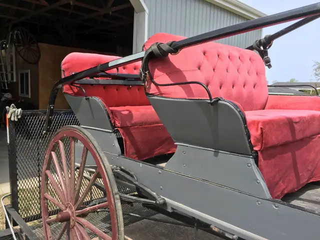 Custom Carriage - Photo 2