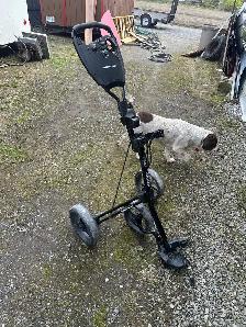 Tourtrek golf push cart